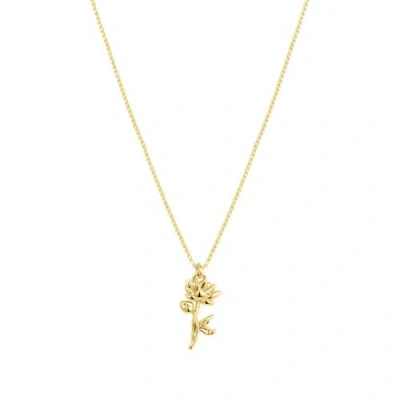 Set & Stones Elsie Birth Flower Necklace In Gold