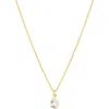 Set & Stones Everett Charm Necklace In Pattern