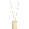 Set & Stones Goldie Initial Tag Pendant Necklace In Gold/d