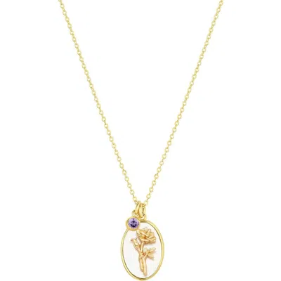 Set & Stones Katrina Birth Flower And Birthstone Charm Necklace In Gold