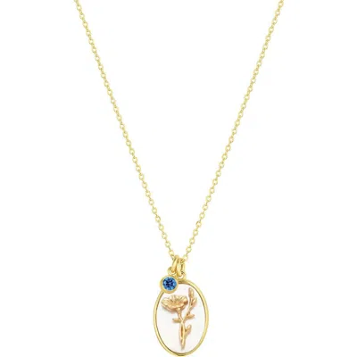 Set & Stones Katrina Birth Flower And Birthstone Charm Necklace In Gold