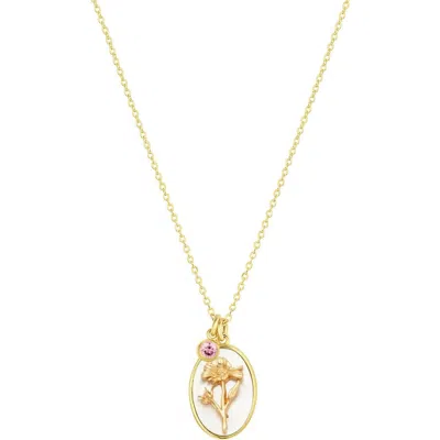 Set & Stones Katrina Birth Flower And Birthstone Charm Necklace In Gold