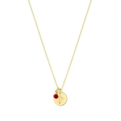 Set & Stones Lily Birth Flower And Birthstone Necklace In Gold