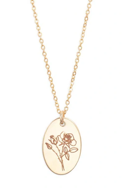 Set & Stones Louise Birth Flower Necklace In Gold