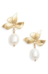 Set & Stones Maeve Freshwater Pearl Drop Earrings In Gold / White