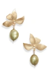 Set & Stones Maeve Freshwater Pearl Drop Earrings In Gold/sage