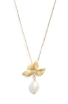 Set & Stones Maeve Freshwater Pearl Pendant Necklace In Gold/white