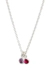 Set & Stones Multi Birthstone Charm Necklace