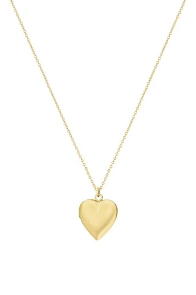Set & Stones Roxy Heart Locket Necklace In Gold