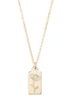Set & Stones Tawney Birth Flower Pendant Necklace In Brown