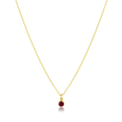 Set & Stones Women's Gold Birthstone Charm Necklace - January