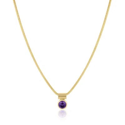 Set & Stones Women's Gold Ellie Birthstone Necklace- February