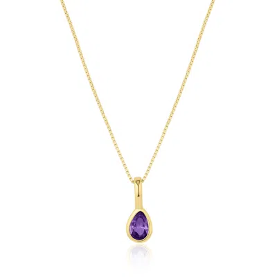 Set & Stones Women's Gold Teardrop Birthstone Necklace - February