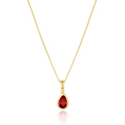 Set & Stones Women's Gold Teardrop Birthstone Necklace - January