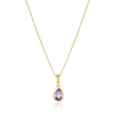 Set & Stones Women's Gold Teardrop Birthstone Necklace - June