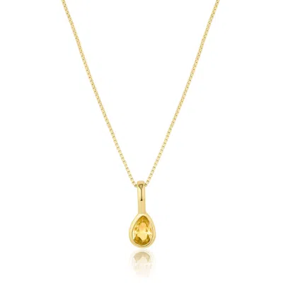 Set & Stones Women's Gold Teardrop Birthstone Necklace - November