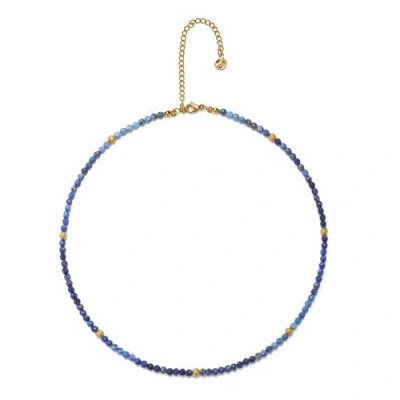 Seven Saints Oracle Of The Deep Lapis Lazuli Choker Necklace In Metallic