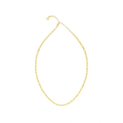 Seven Saints Paperclip Chain Necklace In Gold