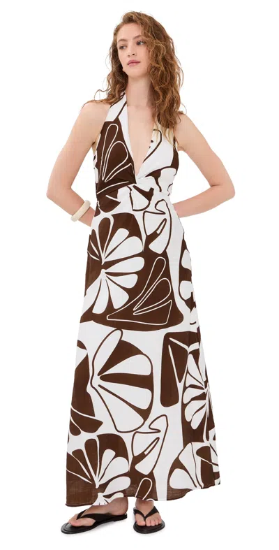 Seven Wonders Saga Maxi Dress Sandy Chocolate/white In Brown