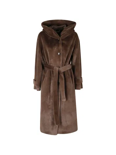 Seventy Hooded Belted Coat In Brown