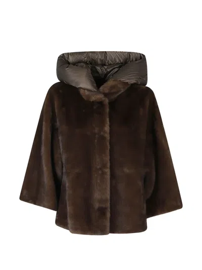 Seventy Hooded Coat In Brown