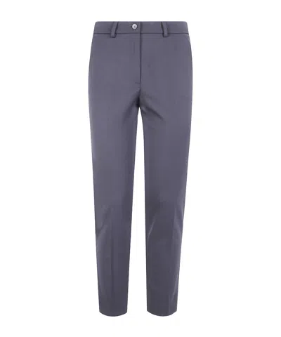 Seventy Trousers In Gray