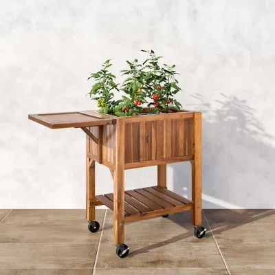 Seville Classics Acacia Wood Raised Garden Bed Planter Cart With Wheels