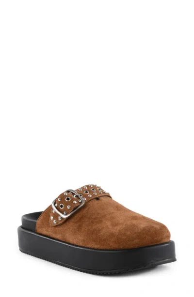 Seychelles Acclaim Clog In Brown