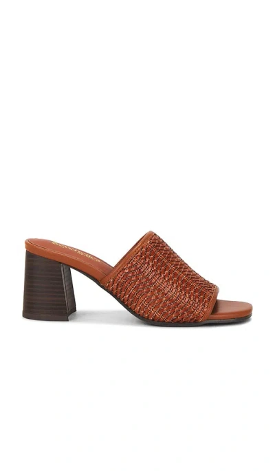 Seychelles Adapt 3 Sandal In Brown