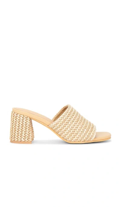 Seychelles Adapt 3 Sandal In Brown