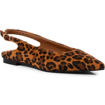 Seychelles Alameda Pointed Toe Slingback Flat In Brown