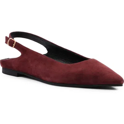 Seychelles Alameda Pointed Toe Slingback Flat In Red