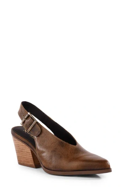 Seychelles Baby Faced Ii Pointed Toe Slingback Pump In Brown