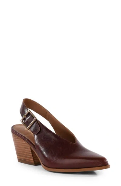 Seychelles Baby Faced Ii Pointed Toe Slingback Pump In Chestnut