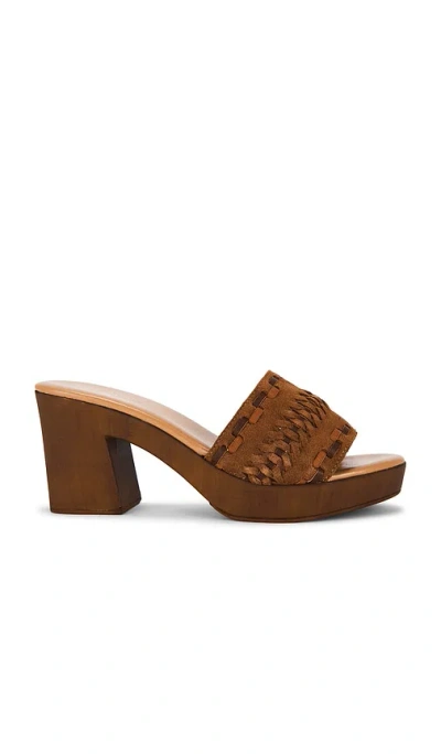 Seychelles Bohemian Spirit Sandal In Brown
