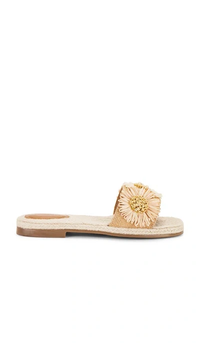 Seychelles Botanical Gardens Sandal In Neutral