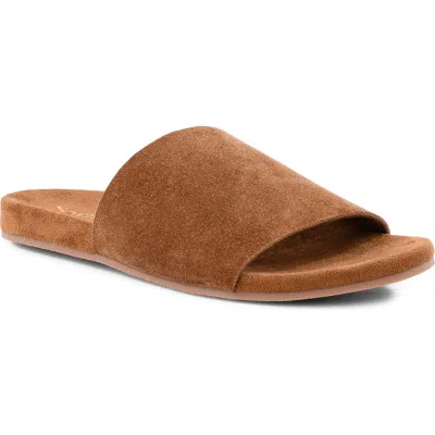 Seychelles Bungalow Slide Sandal In Brown