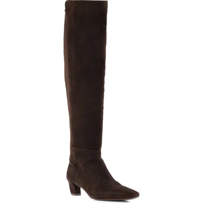 Seychelles Casting Call Leather Over The Knee Boot In Brown