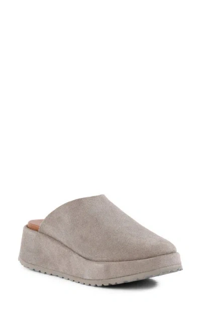 Seychelles Come Away With Me Platform Clog In Multi