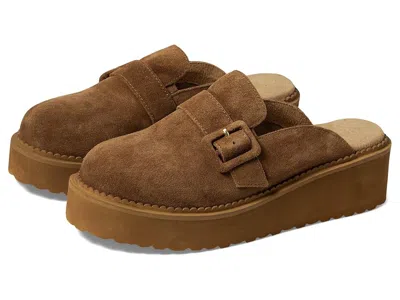 Seychelles Come Together In Brown