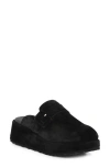 Seychelles Come Together Ii Platform Clog In Black
