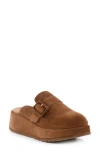 Seychelles Come Together Ii Platform Clog In Brown
