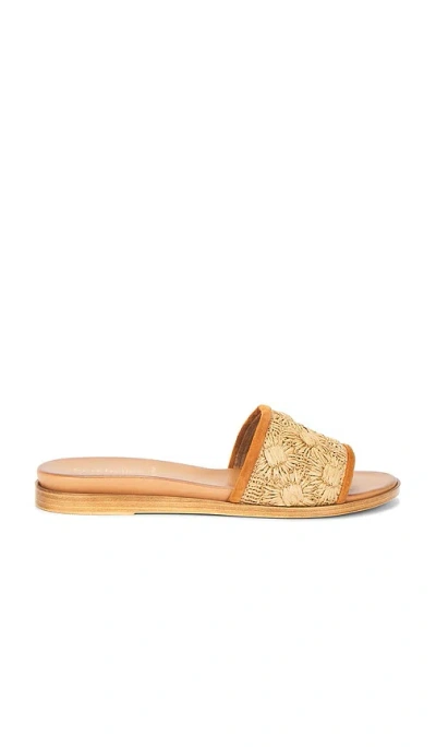 Seychelles Dakota Sandal In Orange