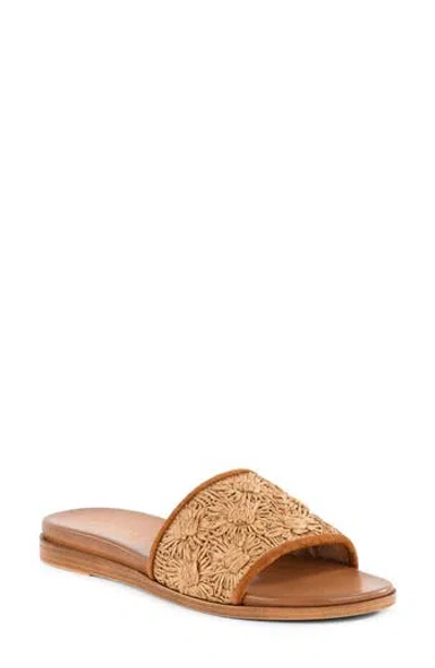 Seychelles Dakota Slide Sandal In Brown