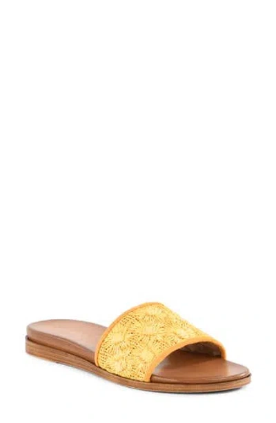 Seychelles Dakota Slide Sandal In Yellow