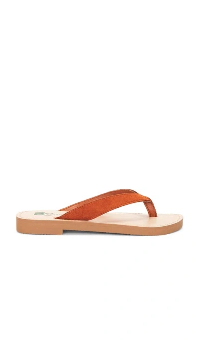 Seychelles Deliah Sandal In Brown