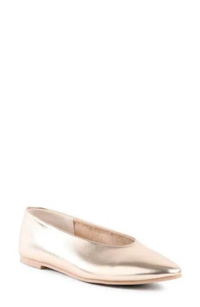 Seychelles Dreamer Pointed Toe Flat In Platinum