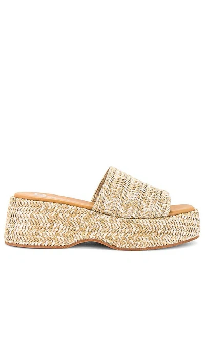 Seychelles Driftwood Sandal In Natural Raffia