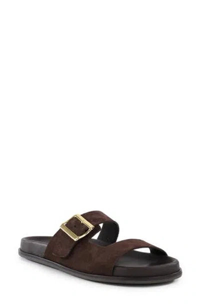 Seychelles Eddie Slide Sandal In Brown
