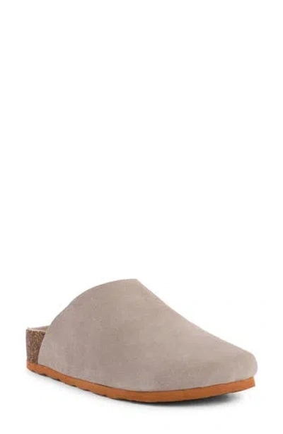 Seychelles Feels Like Home Mule In Taupe/ Taupe